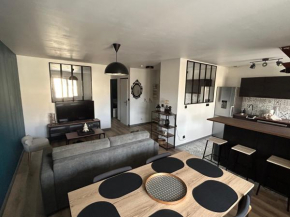 Appartement Cosy dans le coeur de Witry-les-Reims